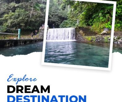 FD Surf Tourist Information Blog